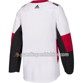 Ottawa Senators Blank Adidas Wit Authentic Shirt - Mannen